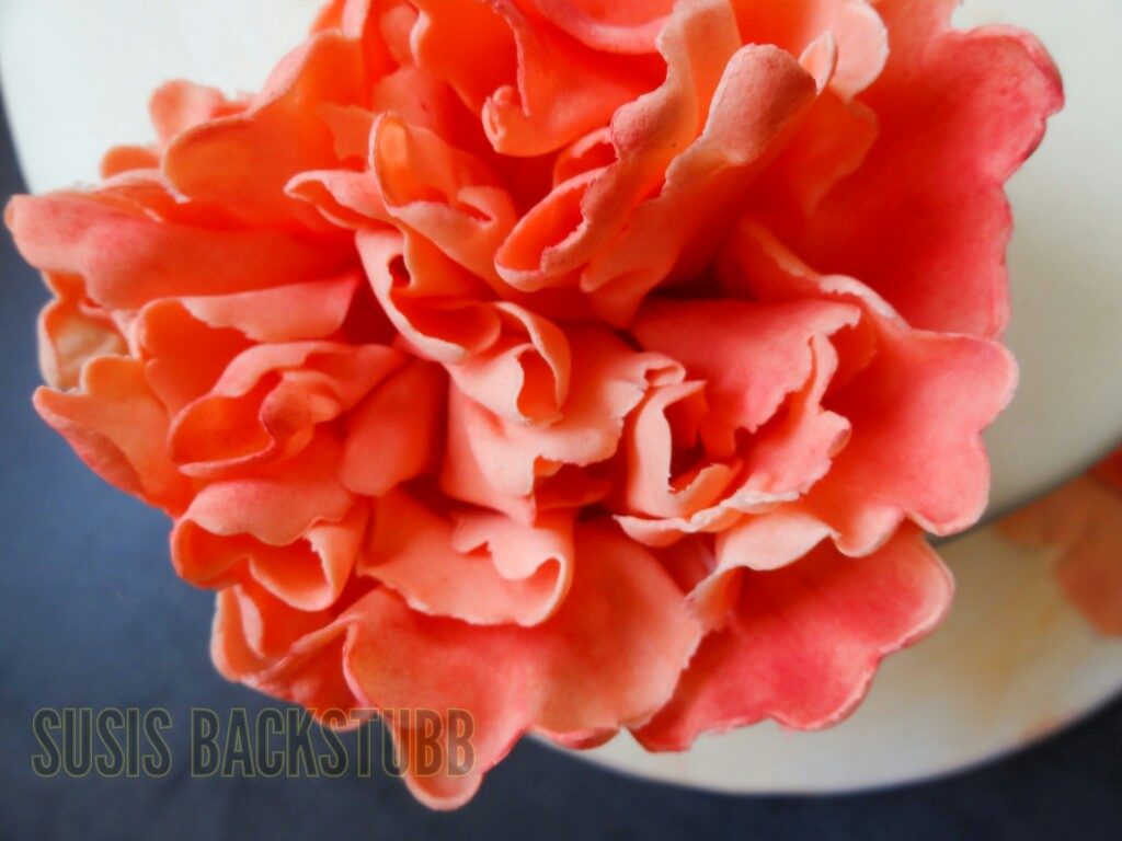 Fondant Torte Pfingstrose